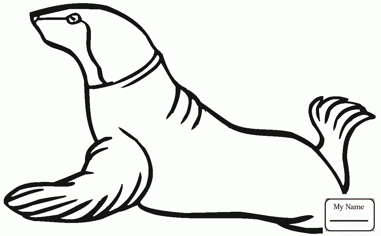 1224x759 Coloring Pages For Kids Baby Harp Seal Seals Mammals