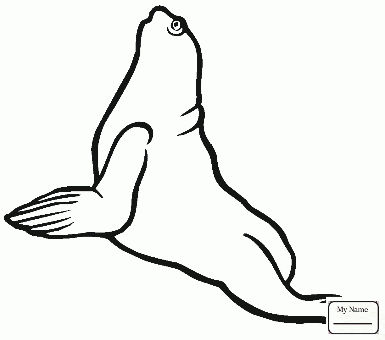 1224x1082 Coloring Pages Mammals Kawaii Seal Seals