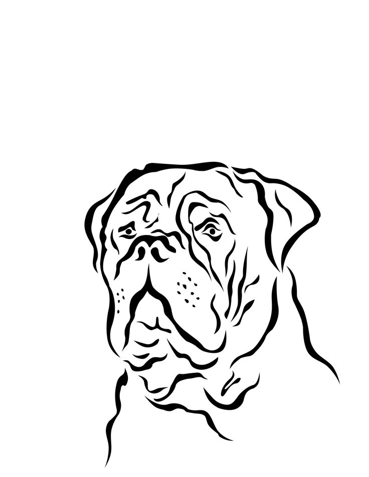 736x952 49 Best My Drawings Images On My Drawings, Graffiti