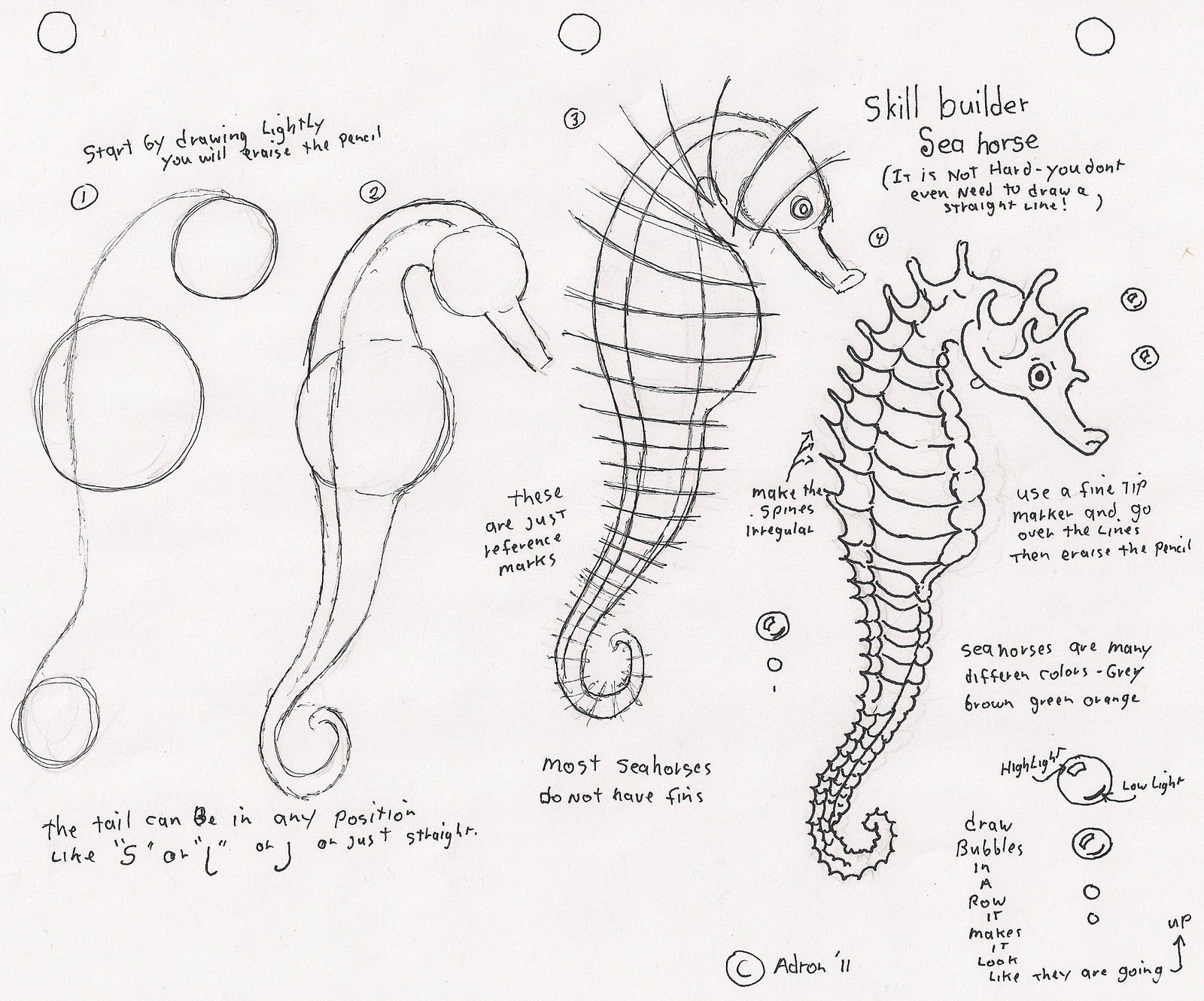 1600x1330 How To Draw A Seahorse