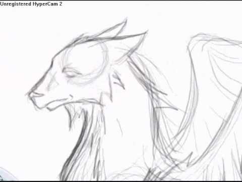 480x360 Me Drawing Eaglewolf Hybrid