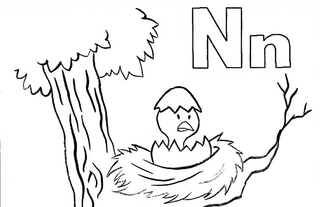 650x422 Letter N Alphabet Adventure