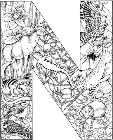 387x480 Letter N With Animals Coloring Page Free Printable Coloring Pages