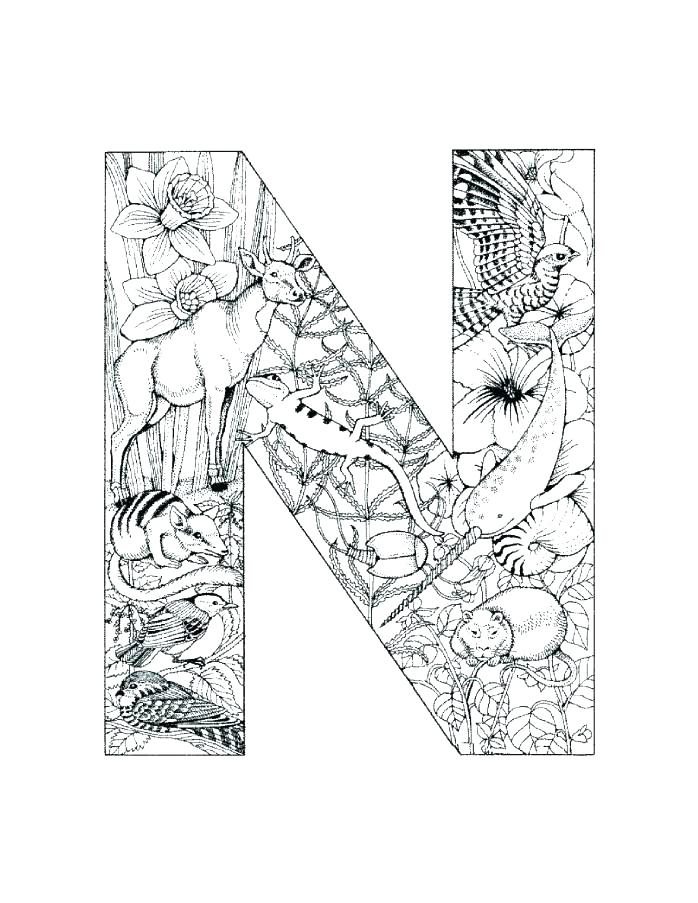 698x903 Letter N Coloring Page