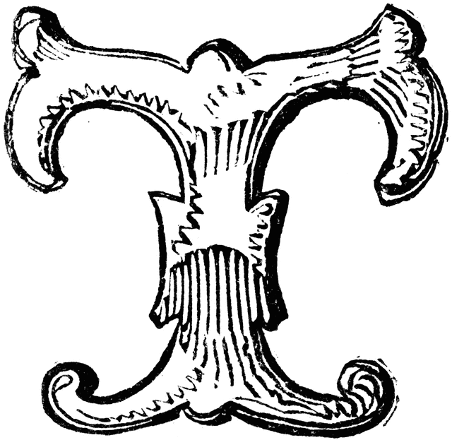 640x623 Decorative Letter T Clipart Etc