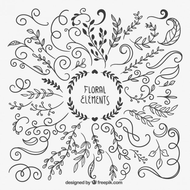 626x626 Hand Drawn Floral Elements ~ Art, Ads Amp Humor ~