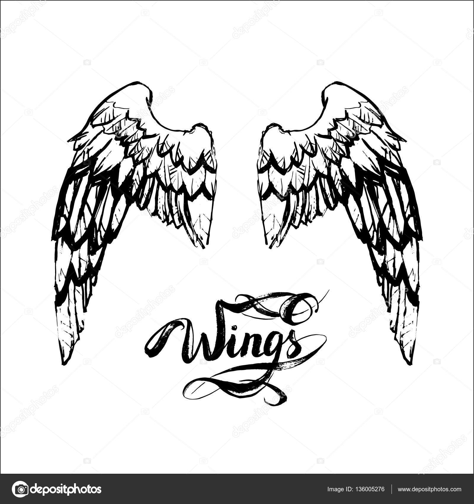 1600x1700 Angel Wings Vector, Lettering, Drawing Stock Vector Tanshy