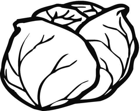 480x382 Lettuce 13 Coloring Page Free Printable Coloring Pages