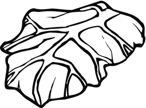 480x354 Lettuce 8 Coloring Page Free Printable Coloring Pages