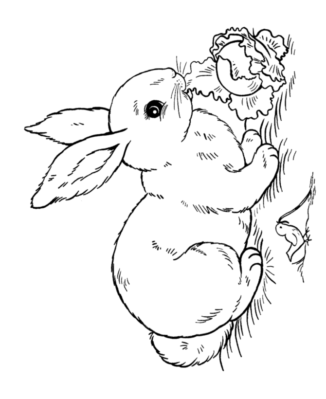 670x820 Bunny Rabbit Coloring Pages This Easter Rabbit Coloring Page