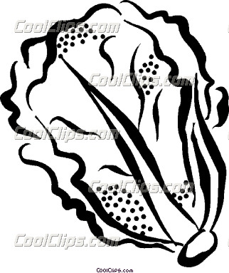 322x383 Lettuce Line Drawings