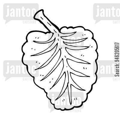 400x400 Lettuce Cartoons