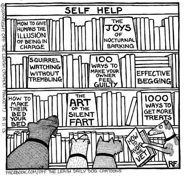 736x701 Library Books Drawing Doggie Libraries, Funny