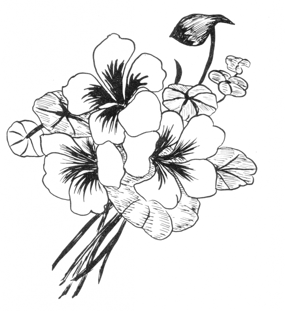 938x1024 Art Beautiful Flower Drawing Coloring Pages Flower Simple