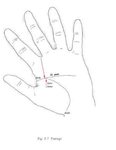 388x500 How To Read Life Line On Your Hand Palm Reading Guide