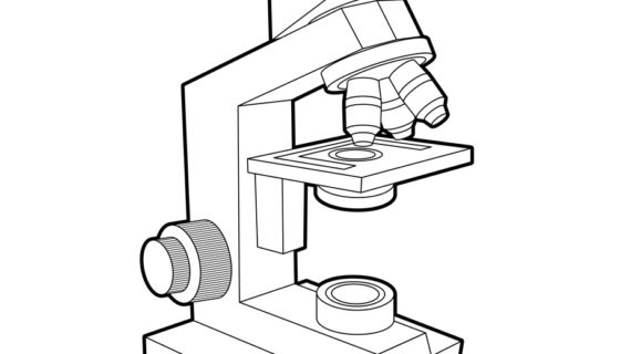 Light Microscope Drawing at GetDrawings | Free download