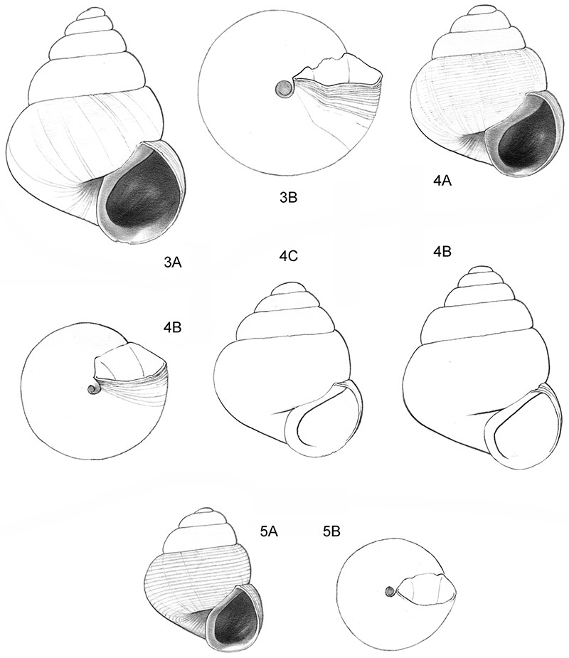 800x925 Microscope World Blog 2015