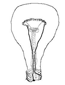 218x285 Light Bulb Technical Drawing