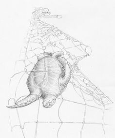 236x285 Original Lighthouse Graphite Pencil Drawing 4x6 Inch Oswoa