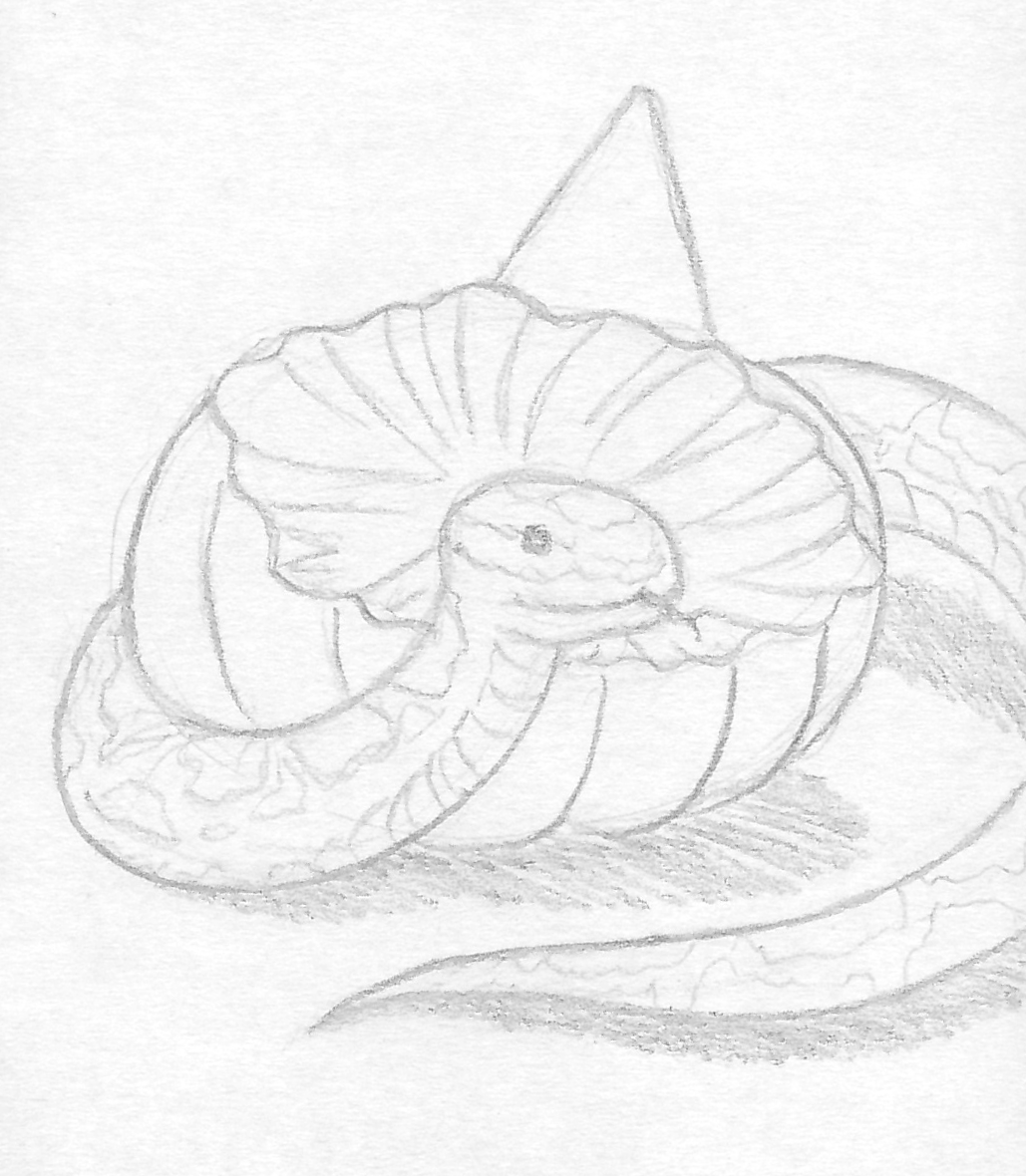 1029x1180 September 8th