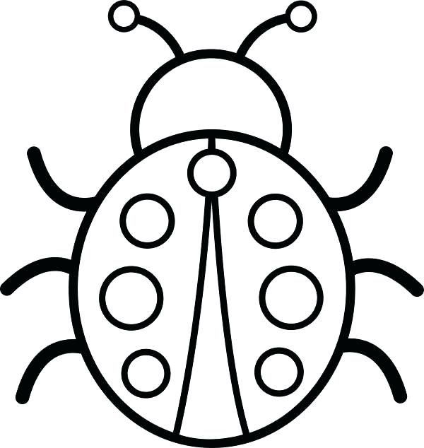 Lightning Bug Drawing at GetDrawings | Free download