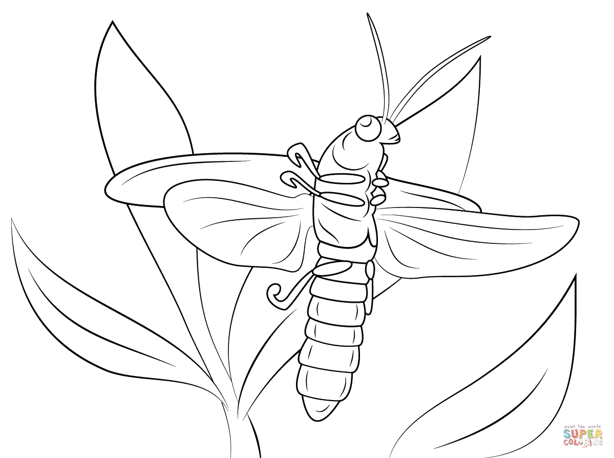 1199x894 Lightning Bug Coloring Page Free Printable Coloring Pages