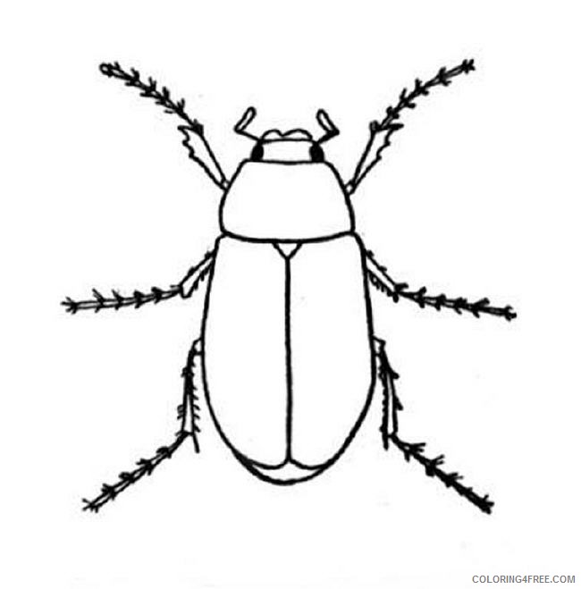 650x659 Bug Coloring Pages Stag Beetle On A Tree Coloring4free