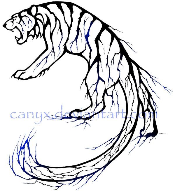 600x666 Lightning Tiger Tam Mb
