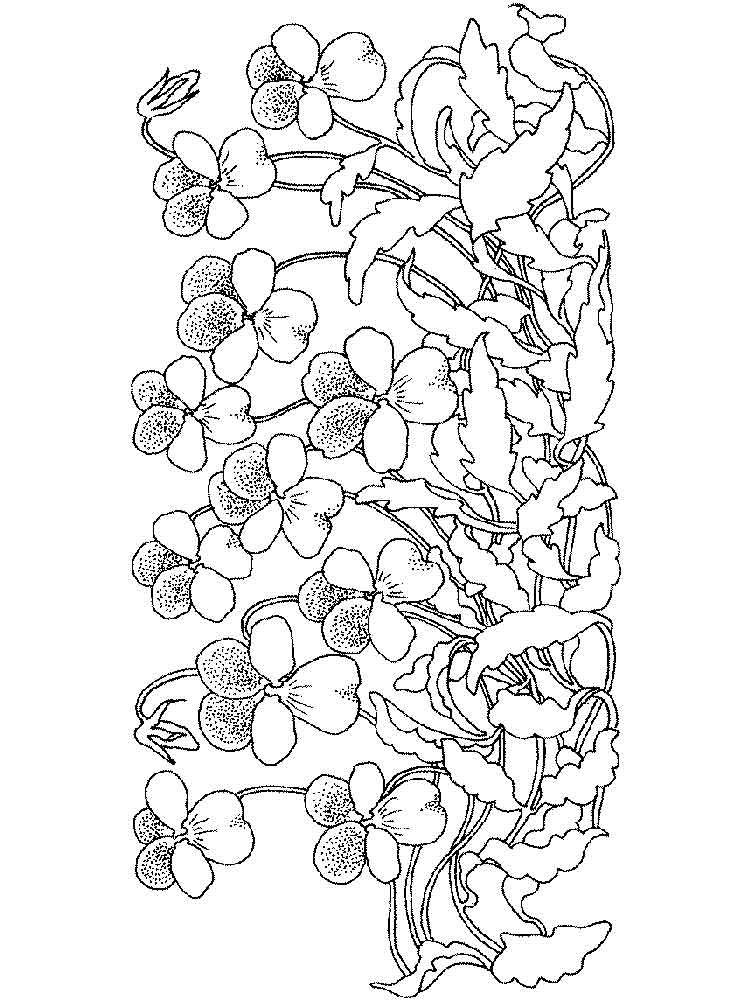 750x1000 Flowers In A Vase