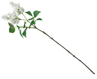 312x255 Coral Cymbidium Orchid Stem Bloom Artificial Flowers