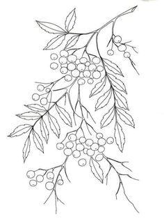 236x314 Lilac Embroidery Pattern From French Knots Free Vintage Graphics