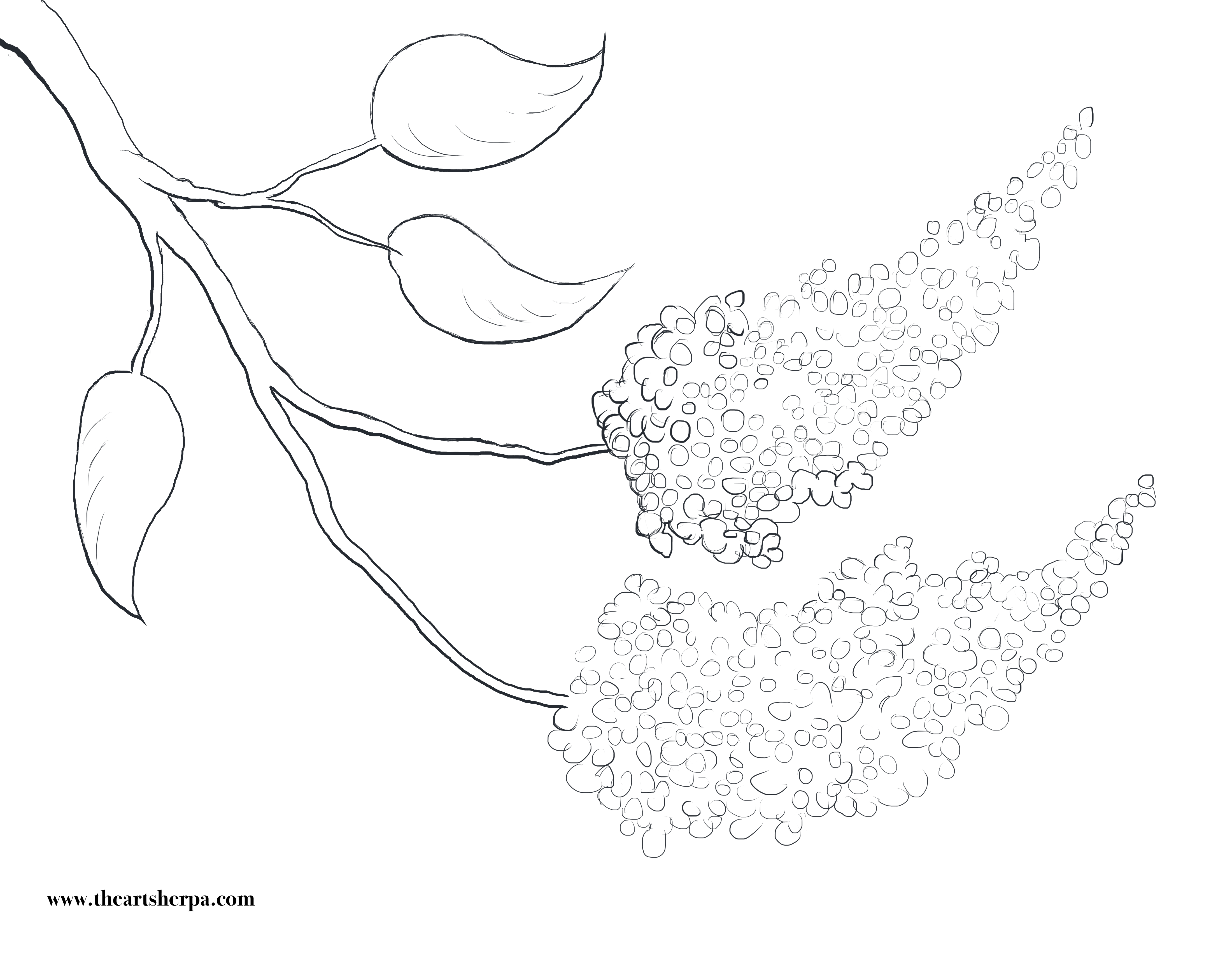 4399x3456 Lilac Traceable For Q Tip Painting