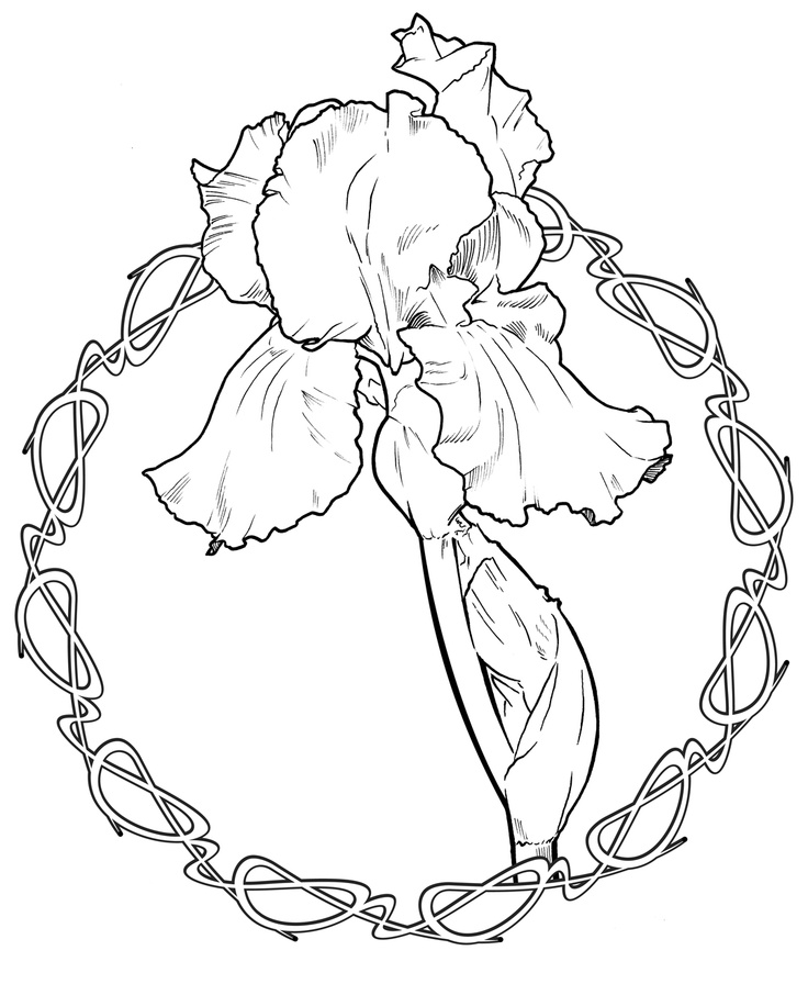 736x896 33 Best Art, Drawing, Illustrating, Graphics, Etc. Images