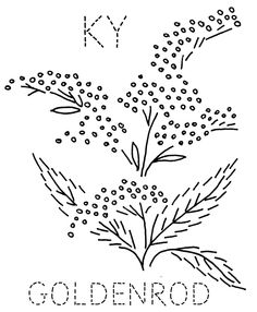 236x286 How To Draw Lilacs And Heather