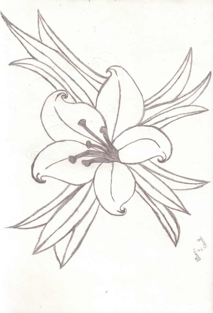 698x1024 Drawings Of Lilies Flower Images About Flower Images