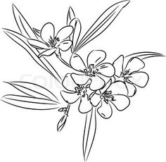 236x230 Stock Vector