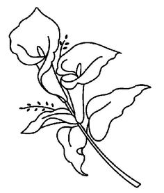 236x278 Calla Lily Clipart Line Drawing