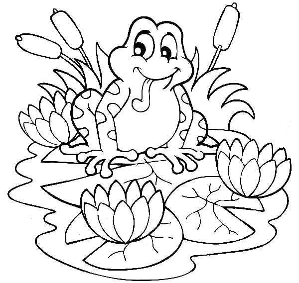 600x569 Frog Lily Pad Coloring Page Preschool In Fancy Draw Pages Sitting