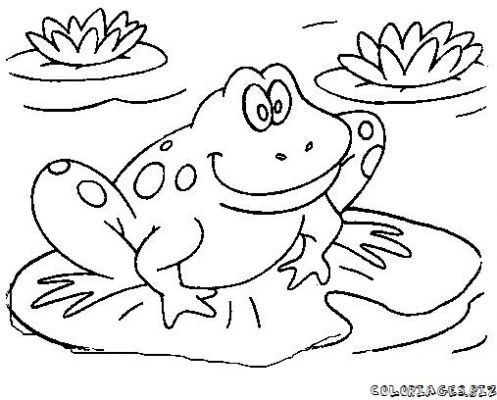 497x400 Frog Lily Pad Coloring Page Printable In Pretty Draw On Lilypad2