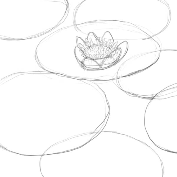 600x600 How To Draw A Lily Pad
