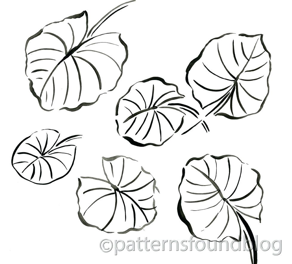 978x884 Coloring Lily Pad Coloring Page