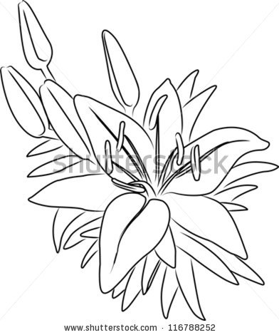 392x470 Line Drawing Of Flowers