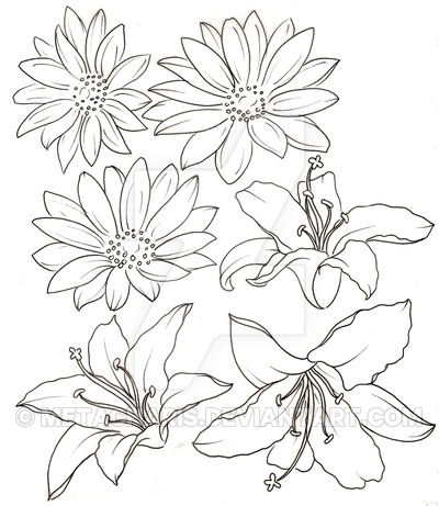400x461 Lily And Daisy Tattoos By Metacharis