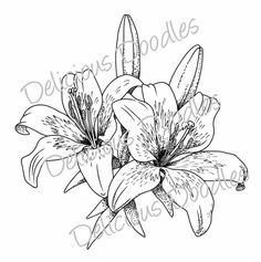 236x237 Lily Tattoo Star Tattoos Tattoo, Ivy Tattoo