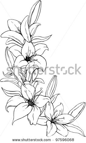 284x470 Lily Tattoo Sketch Vector Illustration Of Lily In Black