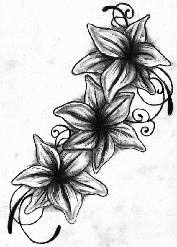600x837 Tattoo Drawings Lily Tattoo Drawing