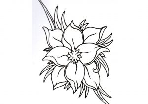 300x210 Black Flower Drawing Sketch Of Lily Flowers In Black And White