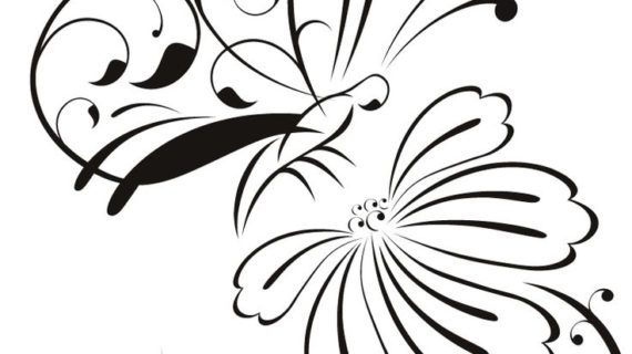 570x320 Outline Of Flowers For Drawing Lily Flower Drawing Outline