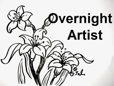 480x360 Pretty Pictures Of Easter Lilies 3 Lily Flower Drawings Easy Step