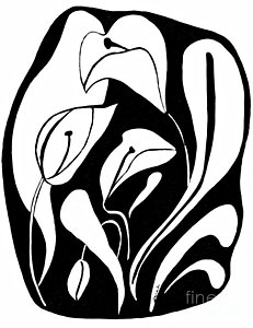 231x300 White Lily Flower Drawings Fine Art America
